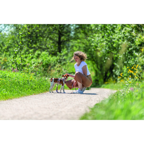 Шлея для собак Trixie Premium трекінгова рожево-сіра