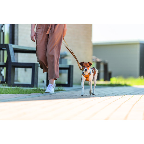 Повідець для собак Trixie Premium регульований оранжевий