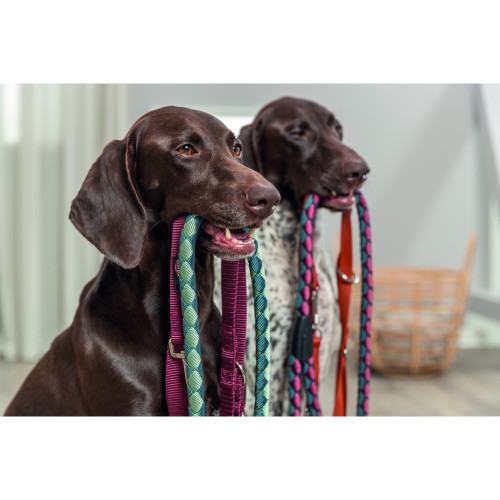 Повідок для собак Trixie Premium регульований двошаровий бордовий