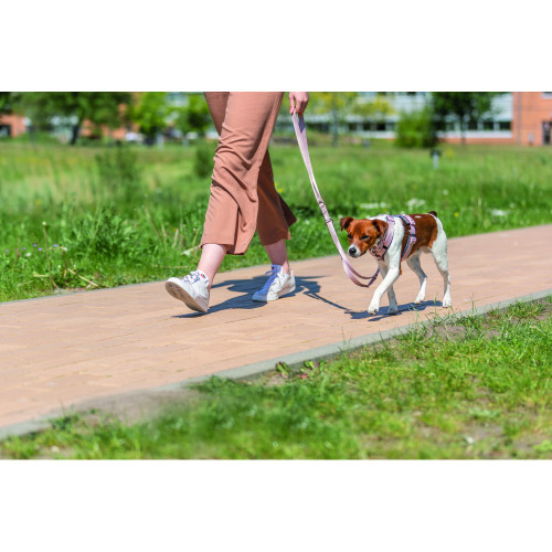 Повідець для собак Trixie Premium регульований світло-рожевий