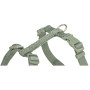 Шлея для собак Trixie Premium H-harness світло-зелена