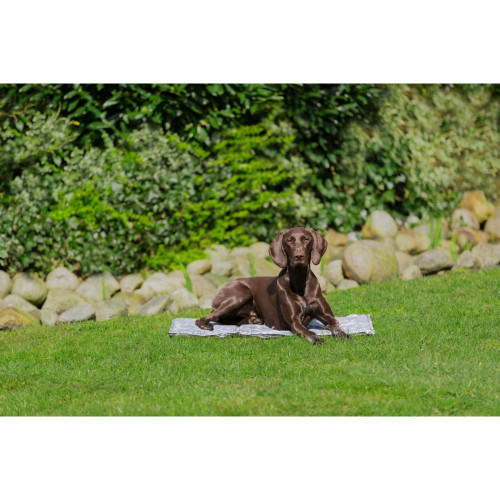 Охолоджуючий килимок Trixie м'який сірий 110×70 см