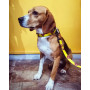 Нашийник для собак нейлоновий WAUDOG Nylon з QR-паспортом, малюнок "Супермен 2", пластиковий фастекс