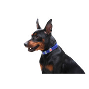 Кожаный ошейник для собак WAUDOG Classic фиолетового цвета - фото 3