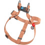 Шлея для собак з відновленої бавовни WAUDOG Re-cotton помаранчева з QR-паспортом