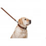 Шкіряний повідець для собак Collar подвійний з прошивкою, коричневого кольору, 122 см