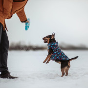 Мультисезонный жилет для собак WAUDOG Clothes с рисунком "Бэтмен красно-голубой" - фото 3
