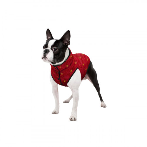 Мультисезонный жилет для собак Collar WAUDOG Clothes красного цвета – "Супермен"