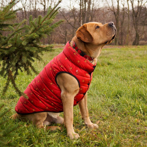 Мультисезонный жилет для собак Collar WAUDOG Clothes красного цвета – "Супермен"