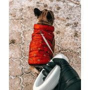 Жилет для собак WAUDOG Clothes DC Comics червоного кольору Супермен - фото 5