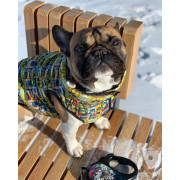 Утеплённая куртка для собак Collar WAUDOG Clothes с рисуноком "Бэтмен винтаж" - фото 5