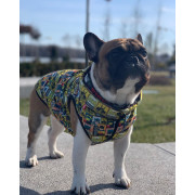 Утеплённая куртка для собак Collar WAUDOG Clothes с рисуноком "Бэтмен винтаж" - фото 1