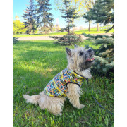 Утеплённая куртка для собак Collar WAUDOG Clothes с рисуноком "Бэтмен винтаж" - фото 7