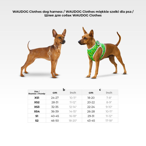 Мягкая шлея для собак WAUDOG Clothes рисунок «Лига Справедливости» с QR паспортом - фото 2