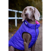 Жилетка для собак AiryVest рожево-фіолетова двостороння - фото 13