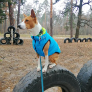 Легкая и теплая двухсторонняя куртка-жилетка для собак AiryVest, салатово-голубая - фото 5