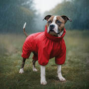 Дощовик для собак WAUDOG Clothes водонепроникний червоний - фото 5