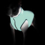 Двостороння куртка-жилетка для собак AiryVest Lumi, салатово-голуба, світиться в темряві