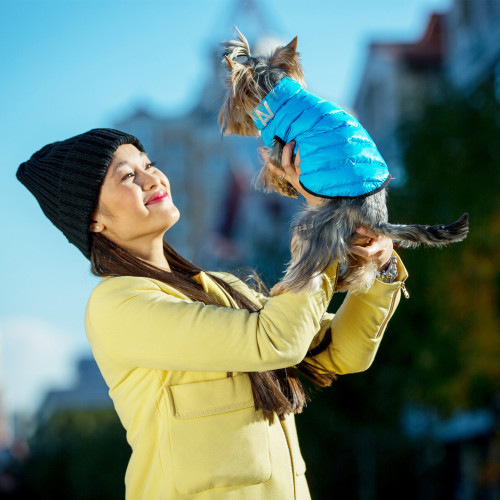 Двухсторонняя куртка-жилетка для собак AiryVest Lumi, салатово-голубая, светится в темноте