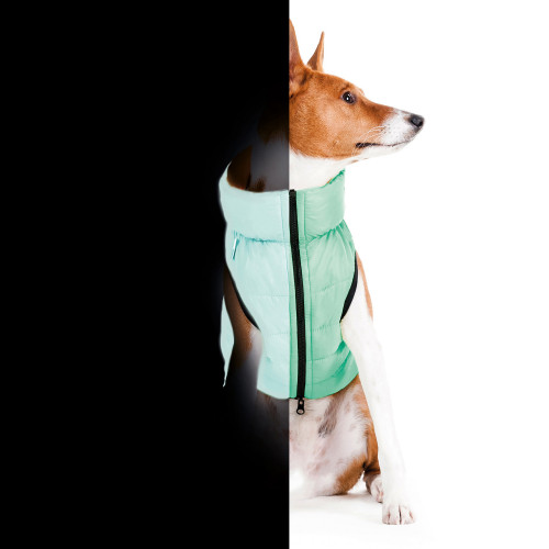 Двостороння куртка-жилетка для собак AiryVest Lumi, салатово-голуба, світиться в темряві