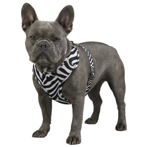 Шлея для собак дихаюча WAUDOG Mesh малюнок "Зебра" з QR паспортом