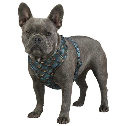 Шлея для собак дихаюча WAUDOG Mesh малюнок "Луска" з QR паспортом