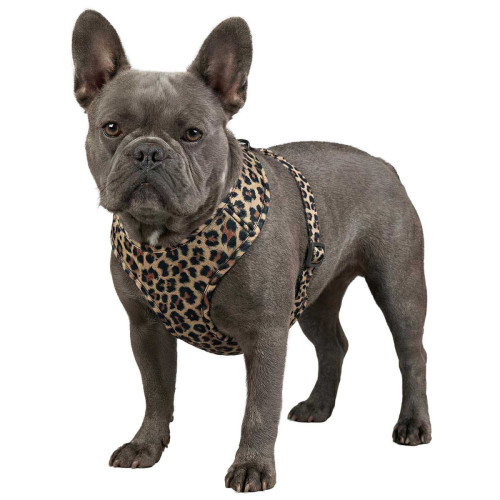 Шлея для собак дихаюча WAUDOG Mesh малюнок "Леопард" з QR паспортом