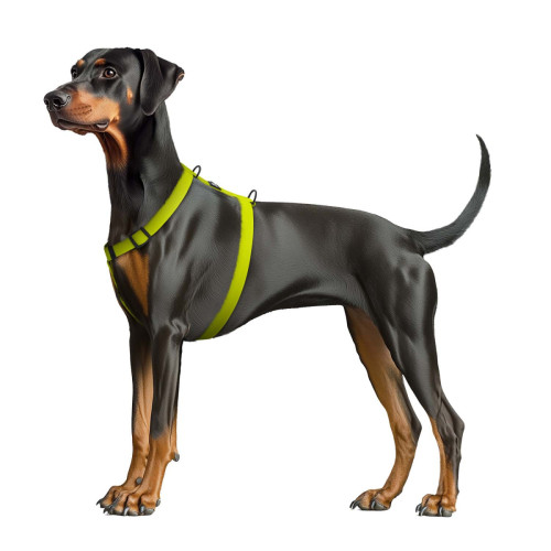 Шлея для собак водостійка WAUDOG Magnet колір "Лимонний"