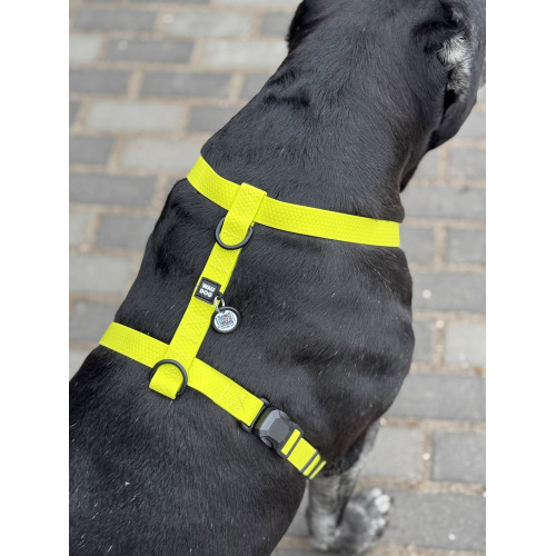 Шлея для собак водостійка WAUDOG Magnet колір "Лимонний"