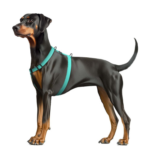 Шлея для собак водостійка WAUDOG Magnet колір "Тіффані"