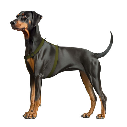 Шлея для собак водостійка WAUDOG Magnet колір "Хакі"