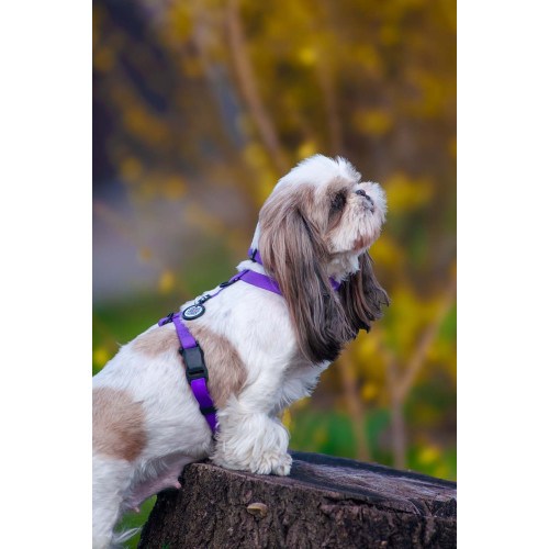 Шлея для собак водостійка WAUDOG Magnet колір "Фіолетовий"