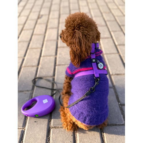 Шлея для собак водостійка WAUDOG Magnet колір "Фіолетовий"