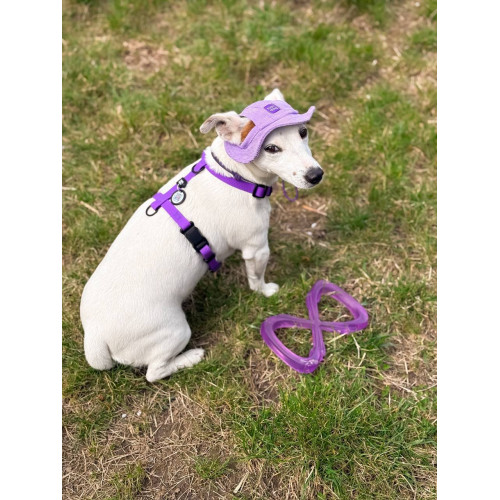 Шлея для собак водостійка WAUDOG Magnet колір "Фіолетовий"