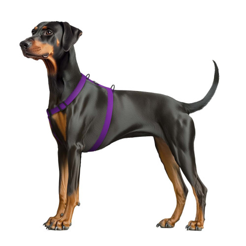 Шлея для собак водостійка WAUDOG Magnet колір "Фіолетовий"