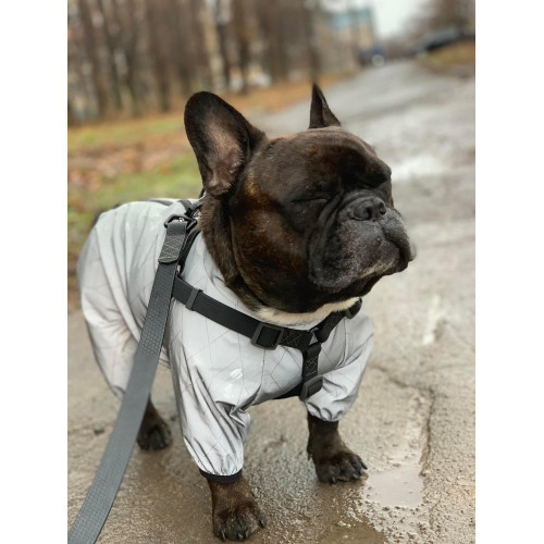 Шлея для собак водостійка WAUDOG Waterproof з металевим фастексом "Чорна"