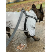 Шлея для собак водостійка WAUDOG Waterproof з металевим фастексом "Чорна" - фото 9