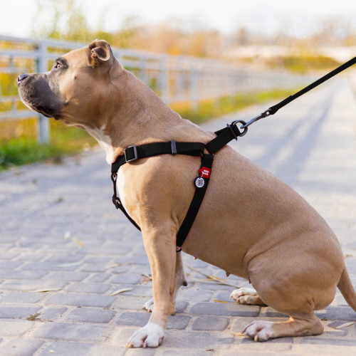 Шлея для собак водостійка WAUDOG Waterproof з металевим фастексом "Чорна"