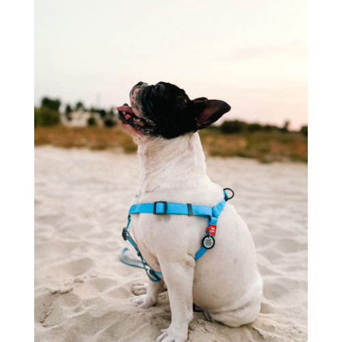 Шлея для собак водостійка WAUDOG Waterproof з металевим фастексом "Блакитна"