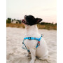 Шлея для собак водостійка WAUDOG Waterproof з металевим фастексом "Блакитна"