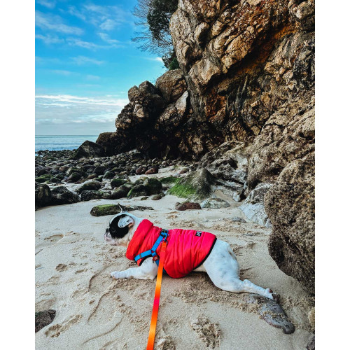 Шлея для собак водостійка WAUDOG Waterproof з металевим фастексом "Блакитна"