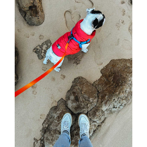 Шлея для собак водостійка WAUDOG Waterproof з металевим фастексом "Блакитна"