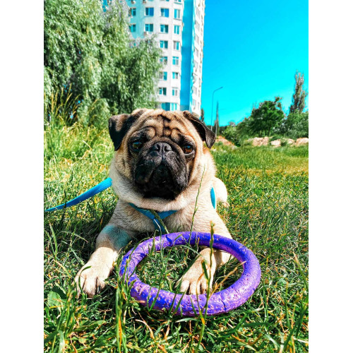 Шлея для собак водостійка WAUDOG Waterproof з металевим фастексом "Блакитна"