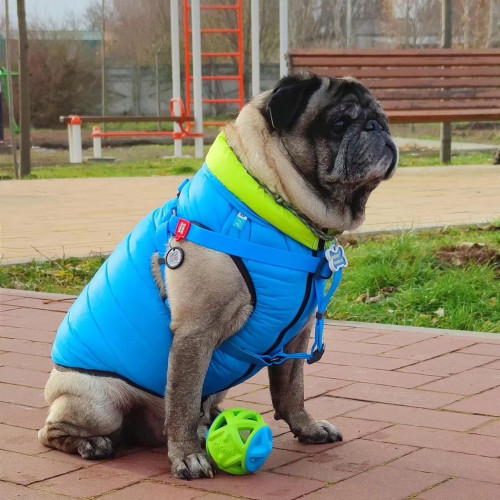 Шлея для собак водостійка WAUDOG Waterproof з металевим фастексом "Блакитна"