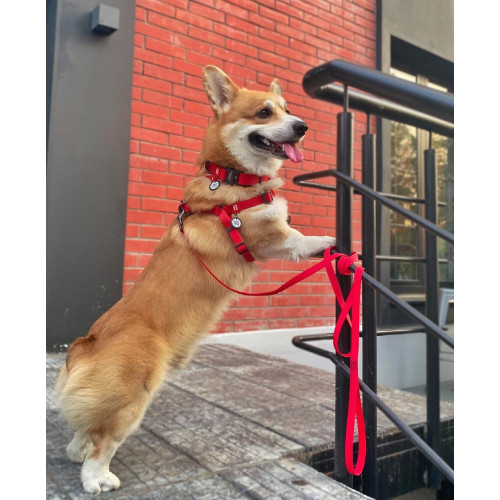 Шлея для собак водостійка WAUDOG Waterproof з металевим фастексом "Червона"