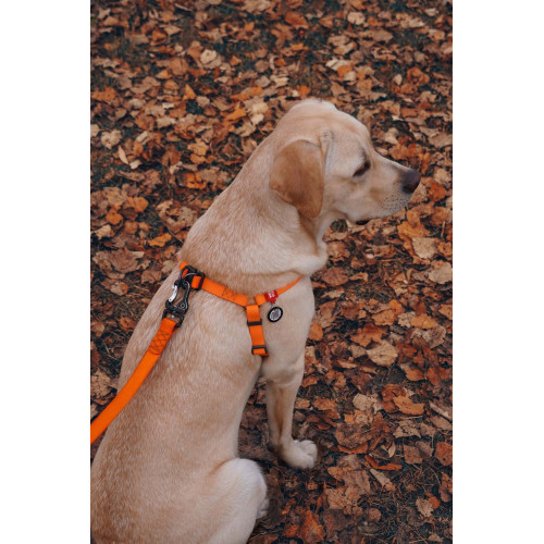 Шлея для собак водостійка WAUDOG Waterproof з металевим фастексом "Помаранчева"