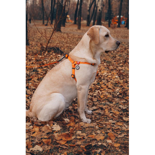 Шлея для собак водостійка WAUDOG Waterproof з металевим фастексом "Помаранчева"