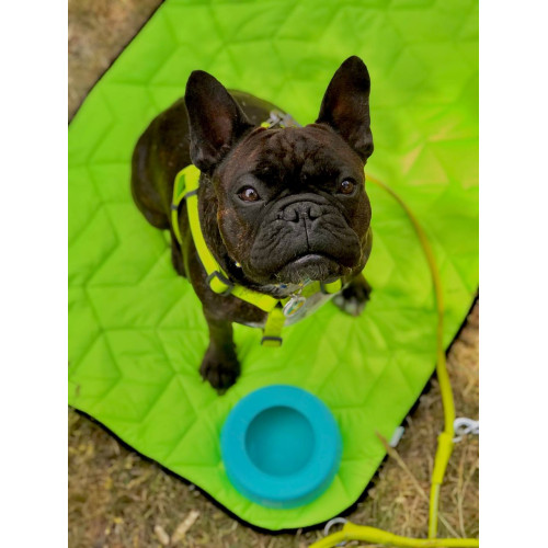 Шлея для собак водостійка WAUDOG Waterproof з металевим фастексом "Салатова"