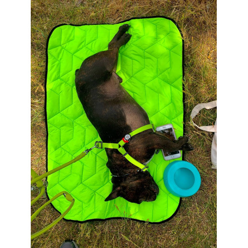 Шлея для собак водостійка WAUDOG Waterproof з металевим фастексом "Салатова"