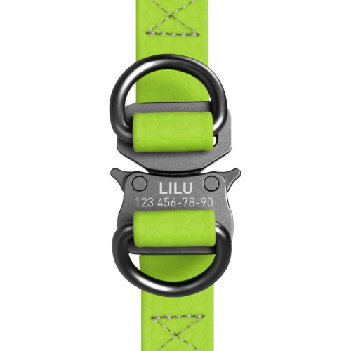 Шлея для собак водостійка WAUDOG Waterproof з металевим фастексом "Салатова"